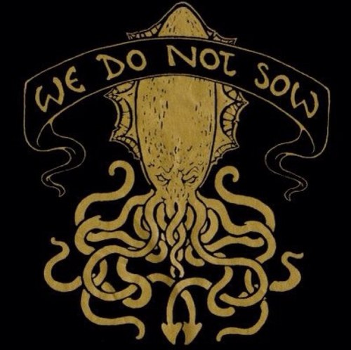 ForcaXLI's profile picture. 