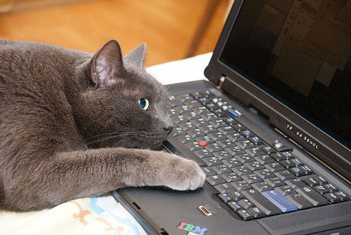 ysatii's profile picture. Знамаюсь разработкой web-ресурсов, системами юзабилити, c/c++,java, linux и поисковой оптимизации сайтов, фоловлю взаимно 98% followback