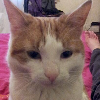 nondairymary's profile picture. 