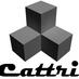 Cattri (@cattri1) Twitter profile photo Cattri (@cattri1) Twitter profile photo