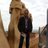 FESTER73's profile image