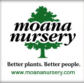 Moana Nursery Profile