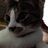 elkgom's profile image