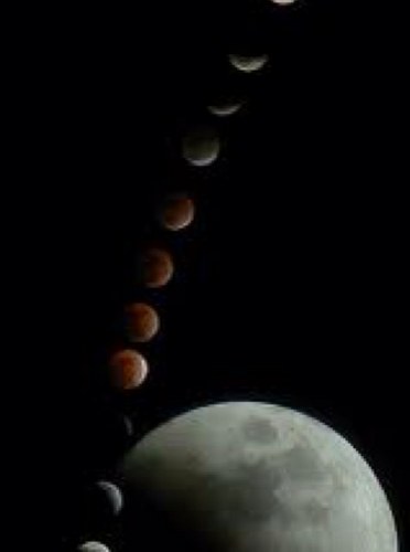 mohamedrasheedh's profile picture. @Alhamdhulillaah: So whoever does an atom's weight of good will see it- And whoever does an atom's weight of evil will see it #Quran 99:7-99:8