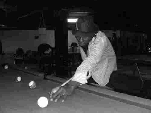 dantelazy's profile picture. ...