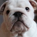 arnold dekker - @DekkerArnold - Twitter