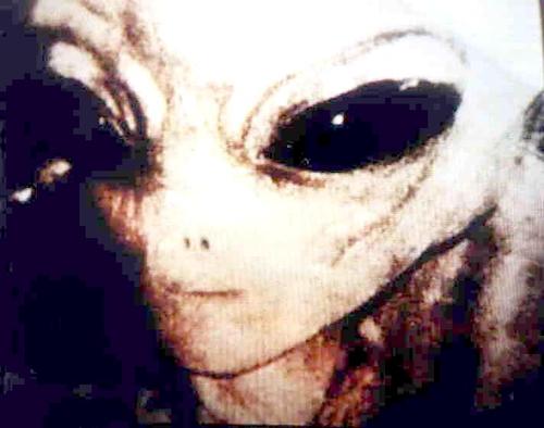 We are an alien and UFO research group! We post up to date news and sightings as well as videos and pictures of the paranormal.

You'll become a believer!