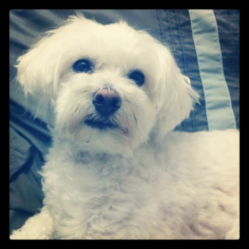 SwtAznXtasy's profile picture. 