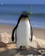 ThePenguinAuto's profile picture. I'm a spokesman for The General and an insurance expert. Loves: sunglasses, fish, dancing.