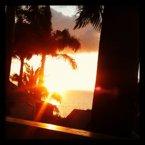 muafreyja's profile picture. 