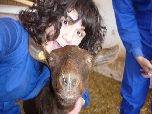 Snieszco's profile picture. Si no puedes deslumbrar con tu inteligencia, desconcierta con estupideces.