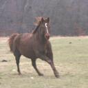 Chris Belden - @Belden26 - Twitter