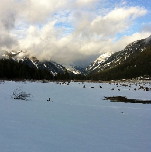 BDonkrasn's profile picture. 