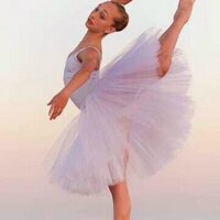 Brie :) (@dancers4ever98) 's Twitter Profile