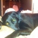 David Amante - @mikehoncho2001 - Twitter