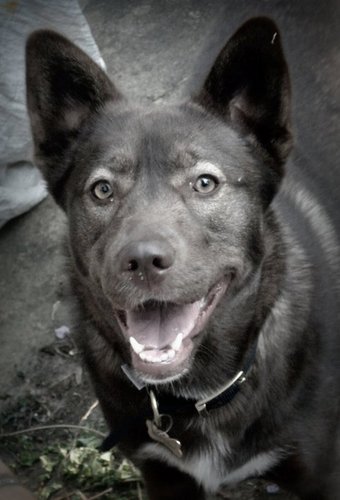 SarahBaggs's profile picture. 