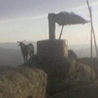 Vaelicoloboso (@vaelicoloboso) 's Twitter Profile