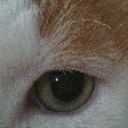 misty knowles - @dominarain - Twitter