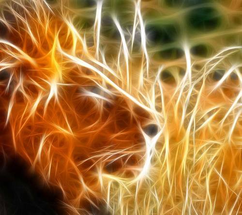 bbobbai99's profile picture. 살아가는 재미/공부하는 재미/노는 재미/성취하는 재미/운동하는 재미/위기를 극복하는 재미/모든 재미를 위하여 열심히 살아가는 사람