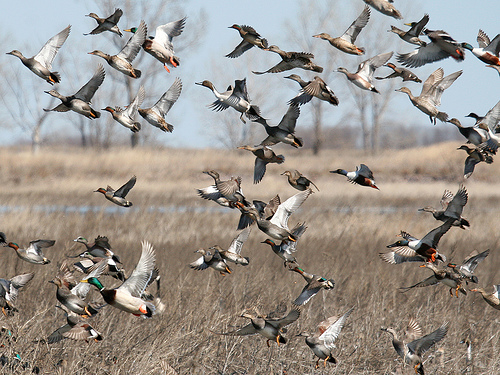 jdsaylor2's profile picture. 