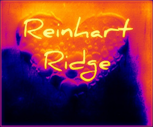 ReinhartRidge's profile picture. 