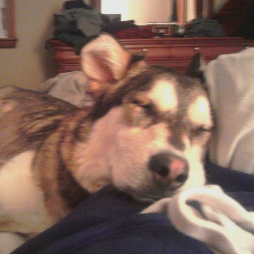 ChefCarli's profile picture. Chef / Owner @A_Tavola_ in Winchester, MA