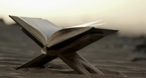 7essa502's profile picture. 