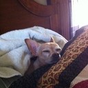 Becky Mayer - @rlfilip - Twitter