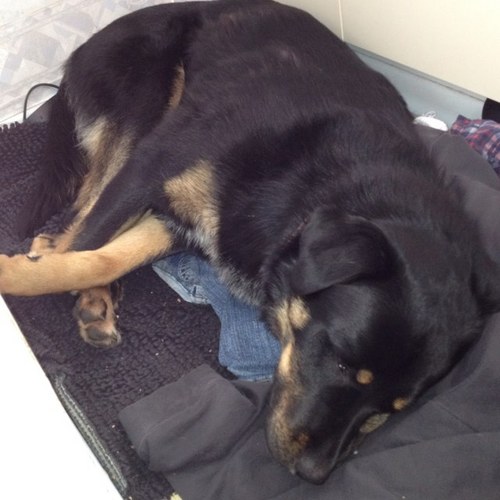 tweet65's profile picture. 