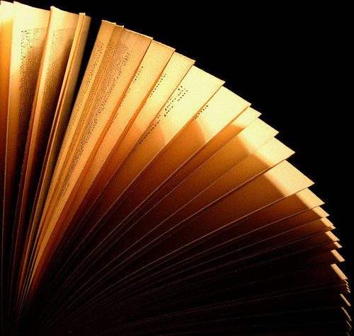 Great writers are better readers. Here's what they're delving into. Want to be featured? Reply or DM.