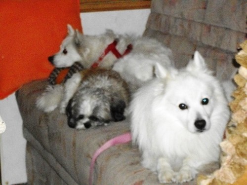 rickeynan's profile picture. 