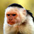 ComedyIsAJoke's profile image