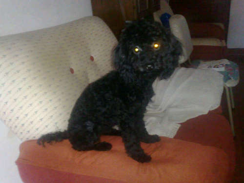 emilseese's profile picture. 