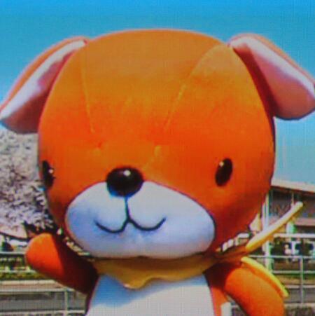 ccnet_motosu's profile picture. CCNet本巣局が放送している自主制作番組のbotです。