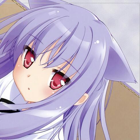 のぞみ 迷い猫オーバーラン Shiro46 Shiro46 Twitter