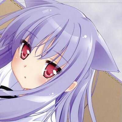 のぞみ 迷い猫オーバーラン Shiro46 Shiro46 Twitter