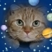 猫と宇宙と山好き。ETS2/ATS/GT7でバーチャルドライブも。最近、歌系ライバーさんにも興味あり！