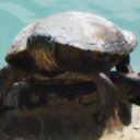 Kristopher Wheeler - @SIXPACK009 - Twitter