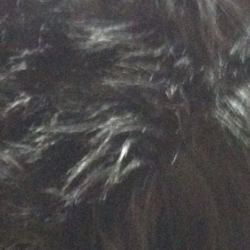 BevHillsBabe's profile picture. Bougie meaning extravagant, often to the point of snobbery