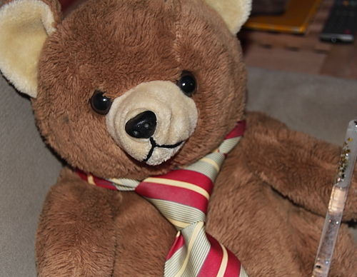 I'm Twitter's teddy and I'm a can-do bear.