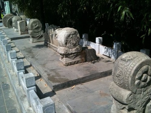 StefanWu's profile picture. 