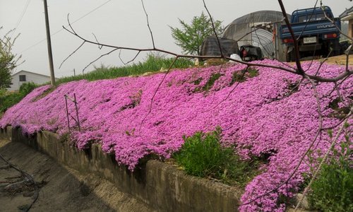 마라톤에 목숨건다/시골집 가꾸기/맞팔100%/