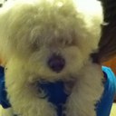 aaron condron - @condron_aaron - Twitter