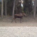 Nancy Bergen - @bergen_nancy - Twitter