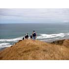 Sea Sky & Bush Walk