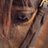 sgolmo's profile image