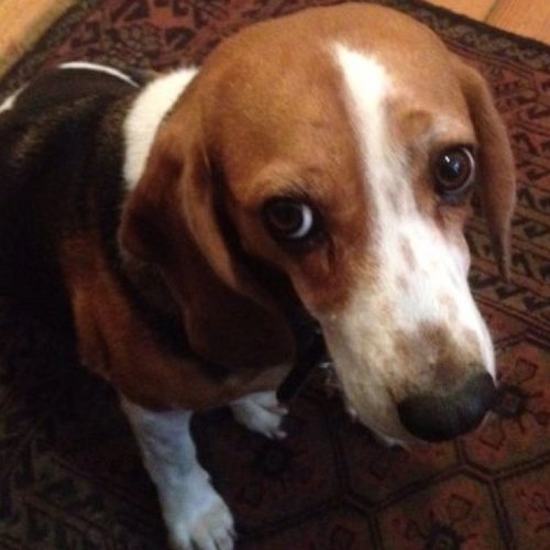 lmunozcano's profile picture. Por un mundo más sustentable y solidario