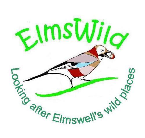 Volunteers who manage two community wildspaces in Elmswell, Suffolk.