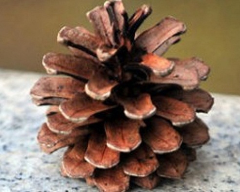 vworkercocc's profile picture. Here thousands of job offers for freelance.