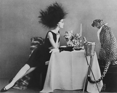 live_distilled's profile picture. Yaşamdan aldığınız keyfi artırmak için takip edin / Fallow for distilled life